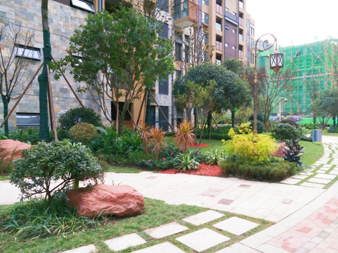 1577443007134246.jpg 3.jpg