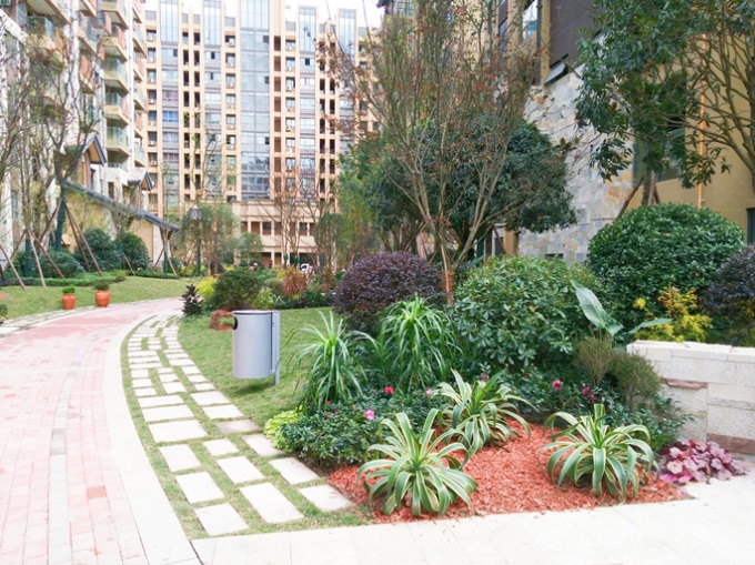 1577443018156549.jpg 4.jpg